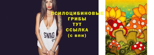 jwh Гусиноозёрск