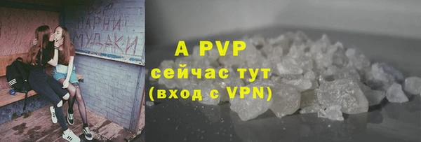 СК Гусь-Хрустальный