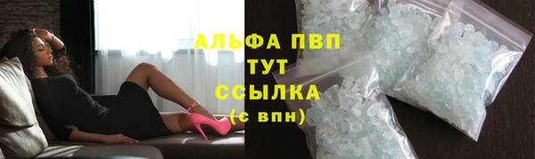 СК Гусь-Хрустальный