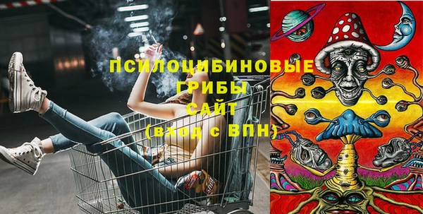 jwh Гусиноозёрск